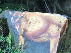 -楠溪江风景名胜区