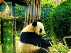 -大连森林动物园