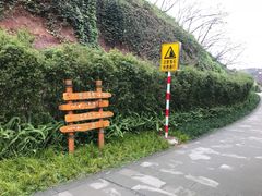 -重庆彩云湖湿地公园