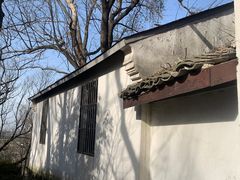 -上海佘山国家森林公园天马山园