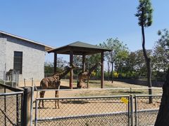 -石家庄市动物园