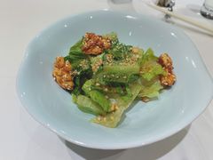 拌罗马生菜-西郊5号·Maggie 5