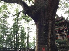 -安溪清水岩