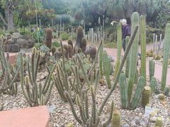 -墨尔本皇家植物园