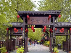 -合肥滨湖国家森林公园