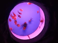 -常州海昌海洋探索馆
