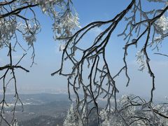 -紫金山山顶公园