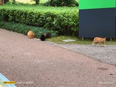 -顺峰山公园