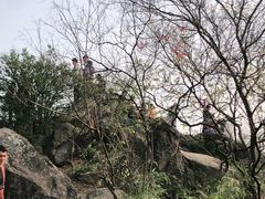 -灵岩山风景区