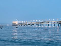 -星海湾跨海大桥