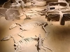 -洛阳周王城天子驾六博物馆