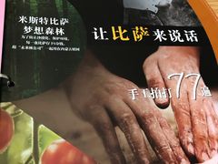 -米斯特比萨(望京西园店)