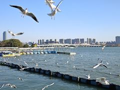 -蠡湖大桥公园