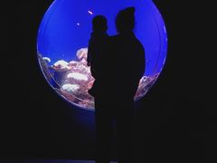 -江和美海洋公园