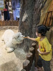 -宝燕乐园(闵行旗舰店)