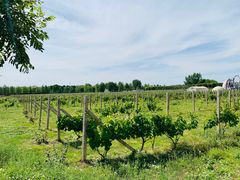 -安德鲁户外烧烤帐篷营地(马泉营店)