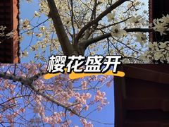 -堤角公园