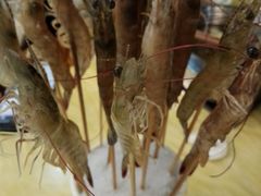 -顺风肥牛(中央国际店)