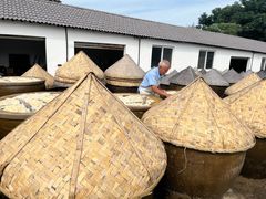 -苏州市吴中区光福窑上花果蜜饯厂