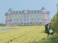 -百万葵园