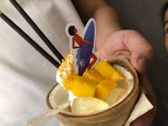 -野人先生现做冰淇淋(西安赛格店)