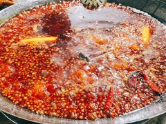 红锅锅底-星鸿社重庆老火锅