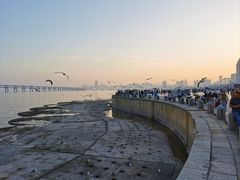 -星海广场