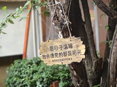 -王捌小院(红花坡店)
