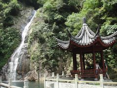 -四明山国家森林公园