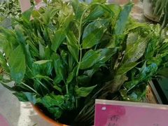 -皇宫大酒店