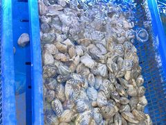 -1937青岛老味道·海肠捞饭·青岛菜(大鲍岛栈桥店)