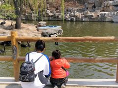 -石家庄市动物园