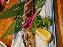 -三月居酒屋(青年大街店)