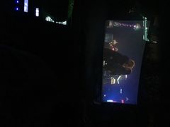 枫花园汽车影院-枫花园汽车电影院(朝阳公园店)