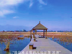 -哈素海