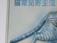 -宠颐生宠物医院外科·内科·皮肤科·影像科(石龙店)