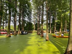 -渌洋湖湿地公园