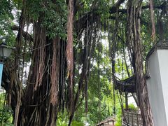 -乌山风景区
