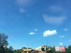 -海南热带野生动植物园