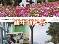 -野狸岛