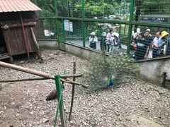 -藏龙百瀑风景区