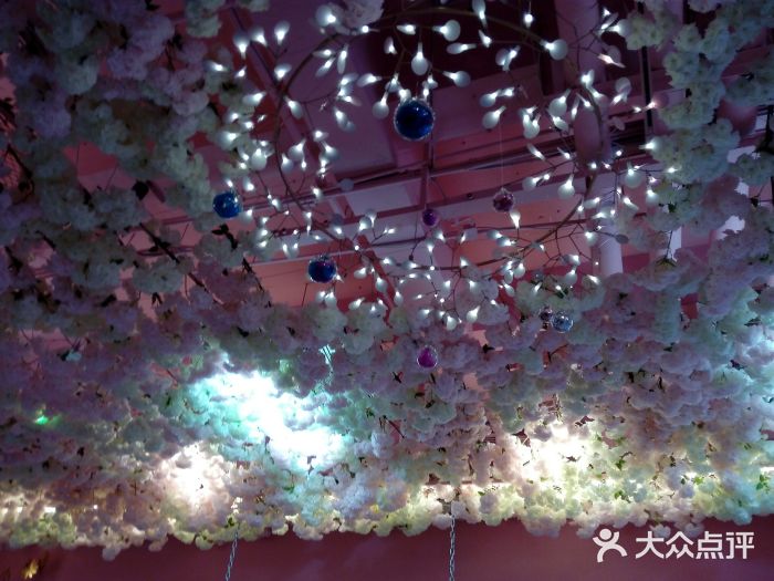 pink baby·新晋网红打卡地图片