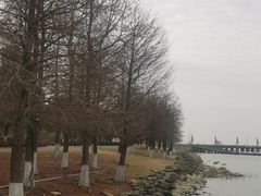 -苏州东太湖生态园