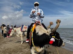 -青海湖国家重点风景名胜区