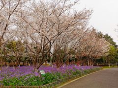 -白塘生态植物园