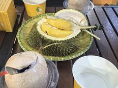 -榴莲BB 四季果园
