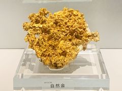 -中国地质博物馆