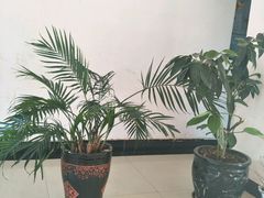 -体康盲人专业推拿