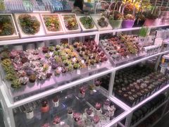 -KKV(天津津南吾悦广场店)