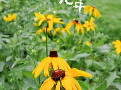 -上海滨江森林公园